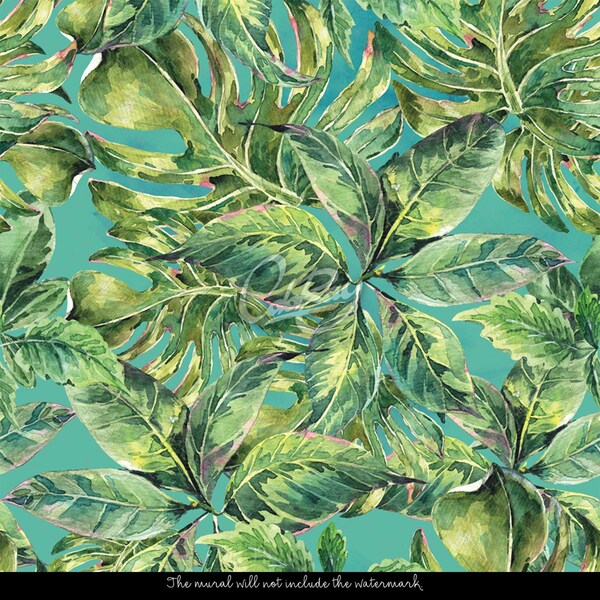 Wallpaper Amazon Rainforest