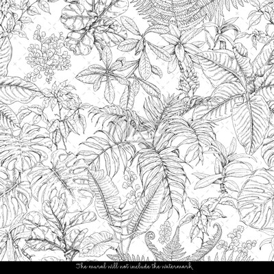 Wallpaper Tropical Sketch Of Lush Vegetation