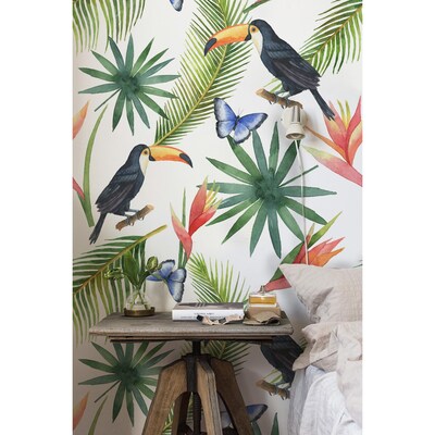 Wallpaper In The Paradise World Of Toucans