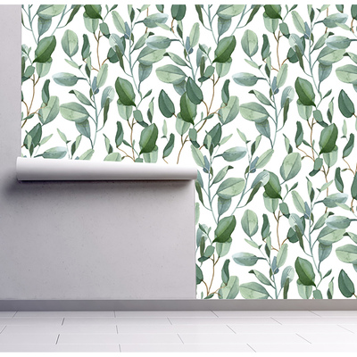 Wallpaper The Power Of Eucalyptus
