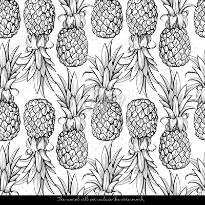 Wallpaper Pineapple Sketches