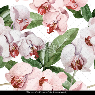 Wallpaper Pink Orchid