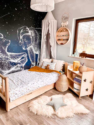 Wallpaper Bear Sky