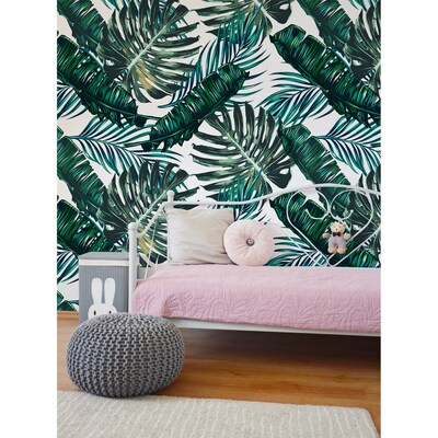 Wallpaper In The Shadow Of Majestic Monstera