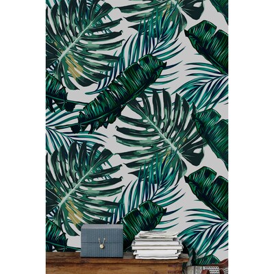 Wallpaper In The Shadow Of Majestic Monstera