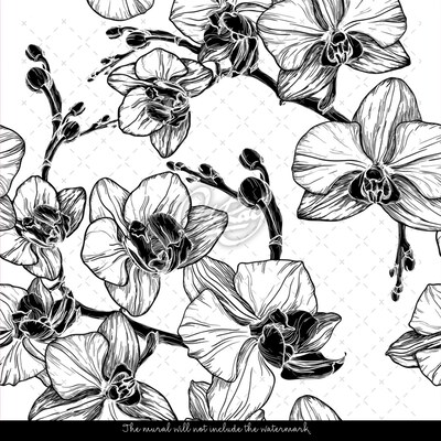 Wallpaper Botanist's Graphics