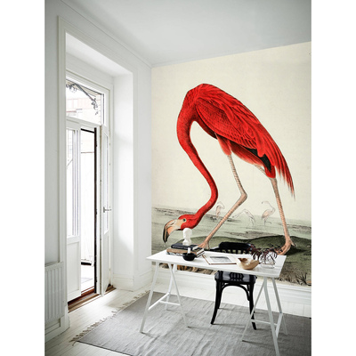 Wallpaper Funny Flamingo