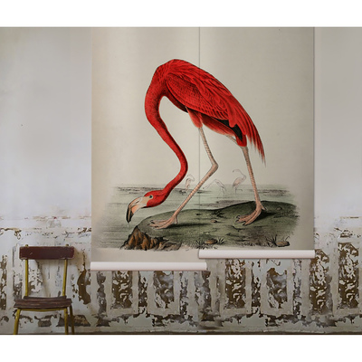 Wallpaper Funny Flamingo