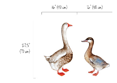 Wall decals Duck and Goose