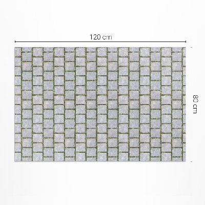 Vinyl carpet Stone path with moss