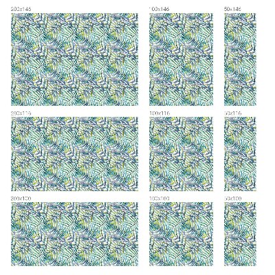 Coloured glass film for windows Tropical watercolor