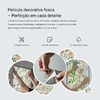 Coloured glass film for windows Leaves of shoots