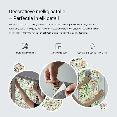 Coloured glass film for windows Botanical energy