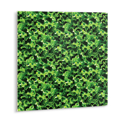 Vinyl tiles Green lettuce leaves