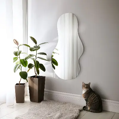 Modern Irregular Shaped Decorative Mirror
