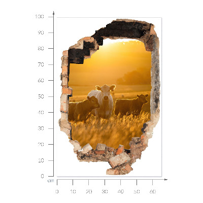 3D wall hole sticker 26x39 Rural landscape