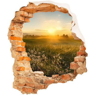 3D wall hole sticker 33x39 Sunny meadow