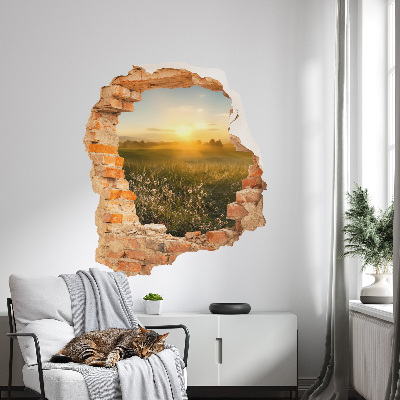 3D wall hole sticker 33x39 Sunny meadow