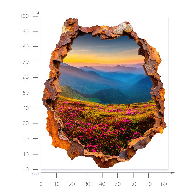 3D wall hole sticker 33x39 Flower mountains