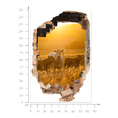 3D wall hole sticker 34x51 Rural landscape