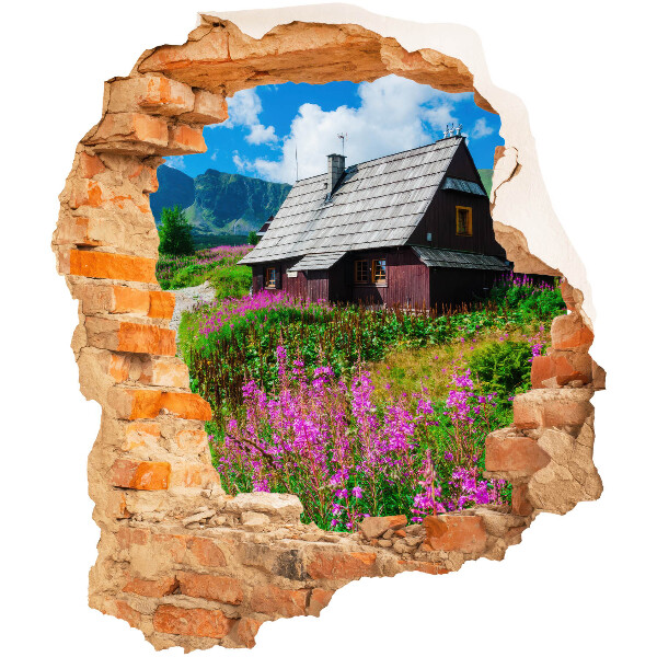 3D wall hole sticker 44x51 Rustic landscape