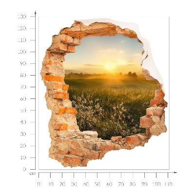 3D wall hole sticker 44x51 Sunny meadow