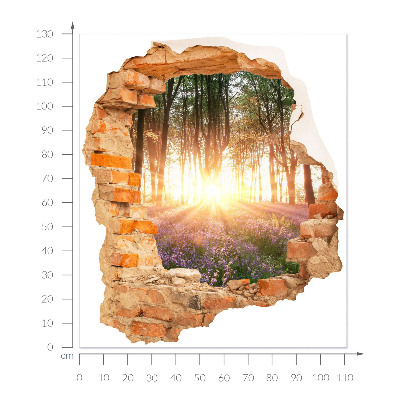 3D wall hole sticker 44x51 Forest Breakthrough