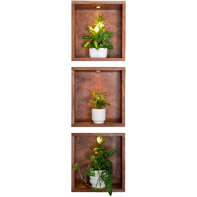 3D illusion wall decal 15x51 Plant niches