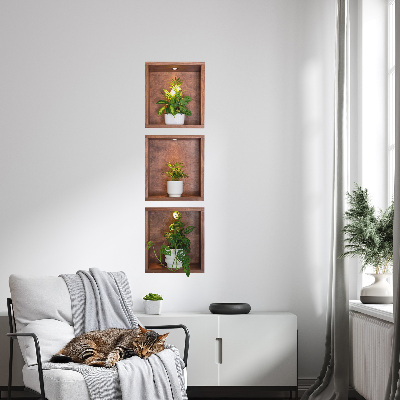 3D illusion wall decal 15x51 Plant niches