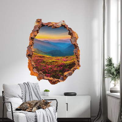 3D wall hole sticker 43x51 Flower mountains