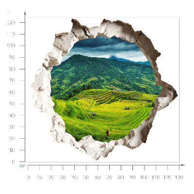 3D wall hole sticker 51x48 Green terraces