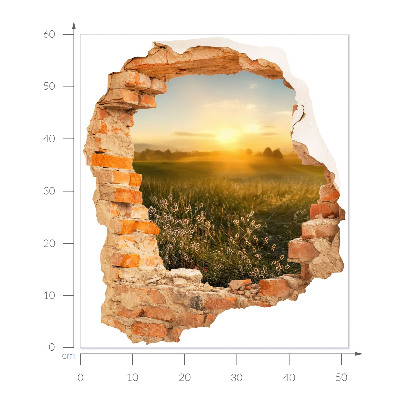 3D wall hole wallpaper 20x24 Sunny meadow