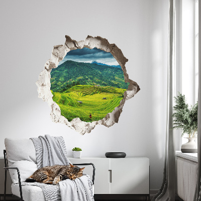3D wall hole wallpaper 24x22 Green terraces