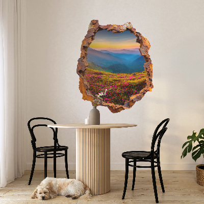 3D wall hole wallpaper 26x31 Flower mountains