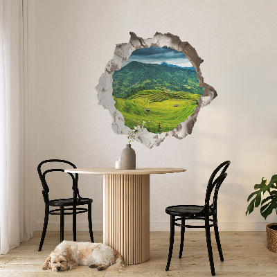 3D wall hole wallpaper 31x30 Green terraces