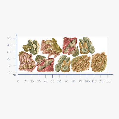 Wall sticker 130x52 Forest mushrooms in pastel cartoon style
