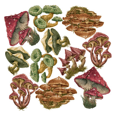 Wall sticker 60x29 Forest mushrooms in a cartoon version