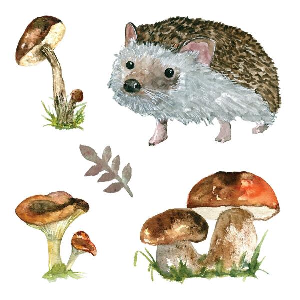 Wall sticker 60x93 Forest composition of plants and animals in watercolor