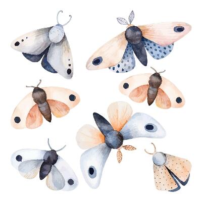 Wall sticker 80x103 Pastel moths in boho style with colorful insects