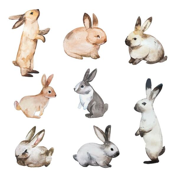 Wall sticker 80x145 Pastel bunnies in watercolor technique