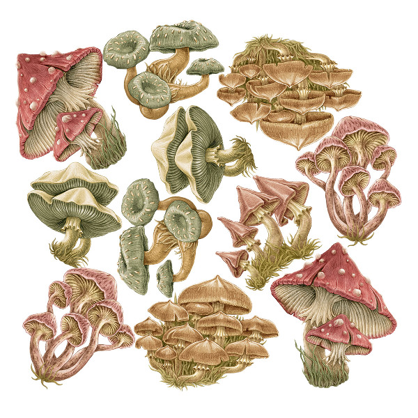 Wall sticker 80x32 Forest mushrooms in pastel cartoon style