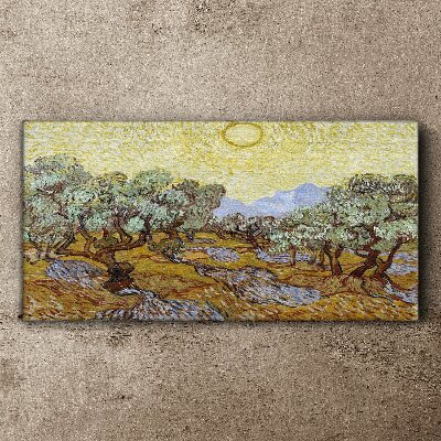 Olive trees in the sun Canvas wall art