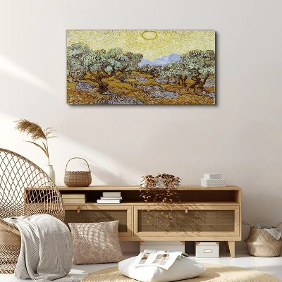 Olive trees in the sun Canvas wall art