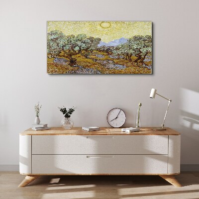 Olive trees in the sun Canvas wall art