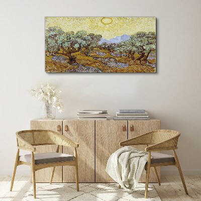 Olive trees in the sun Canvas wall art