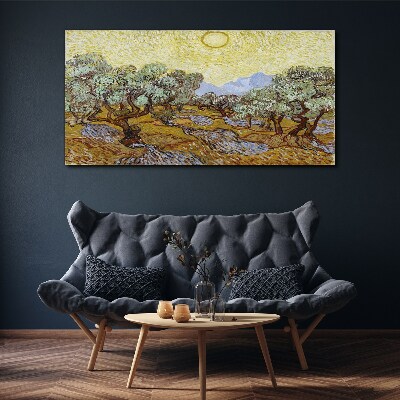 Olive trees in the sun Canvas wall art
