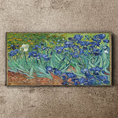 Irises in the garden Canvas wall art