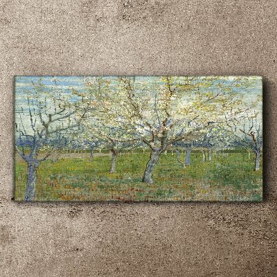 Flowering trees in the spring sun Print on canvas