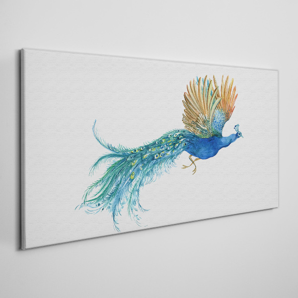 Colorful peacock in motion Print on canvas