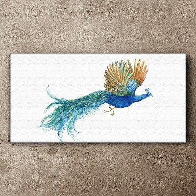 Colorful peacock in motion Print on canvas